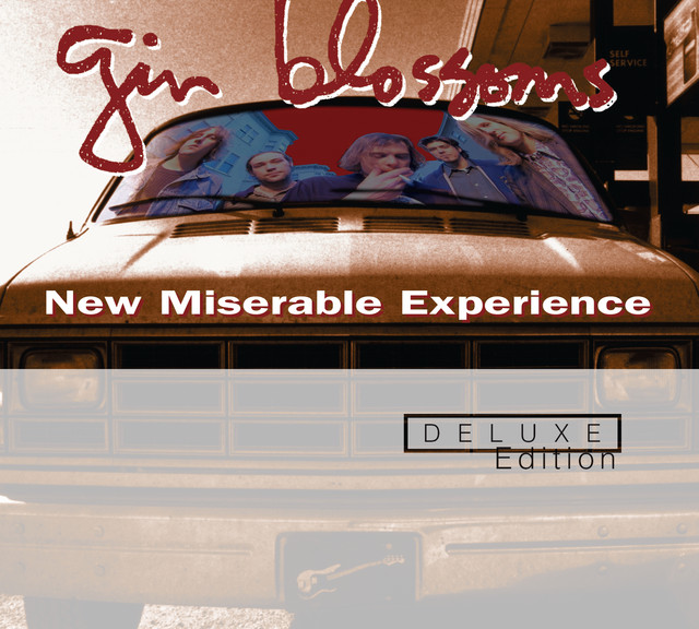 New Miserable Experience album cover