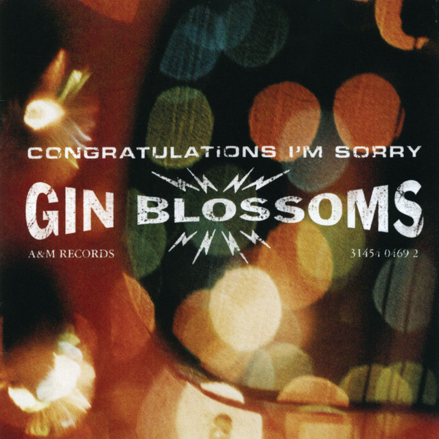 Congratulations I'm Sorry album cover