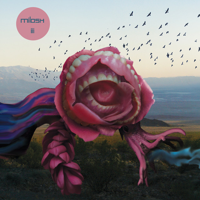 iii album cover