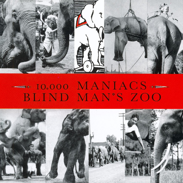 Robin Ranger as heard on Blind Man's Zoo by 10,000 Maniacs (1989)