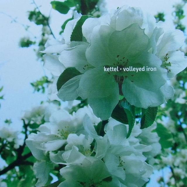 Volleyed Iron album cover
