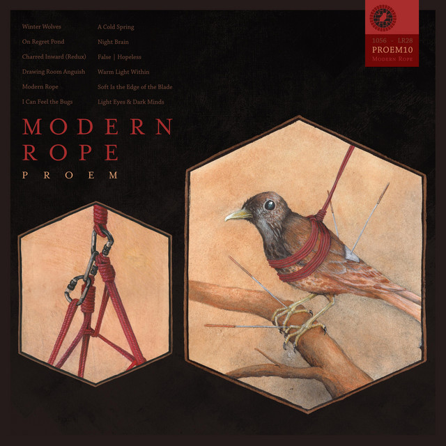 Modern Rope album cover