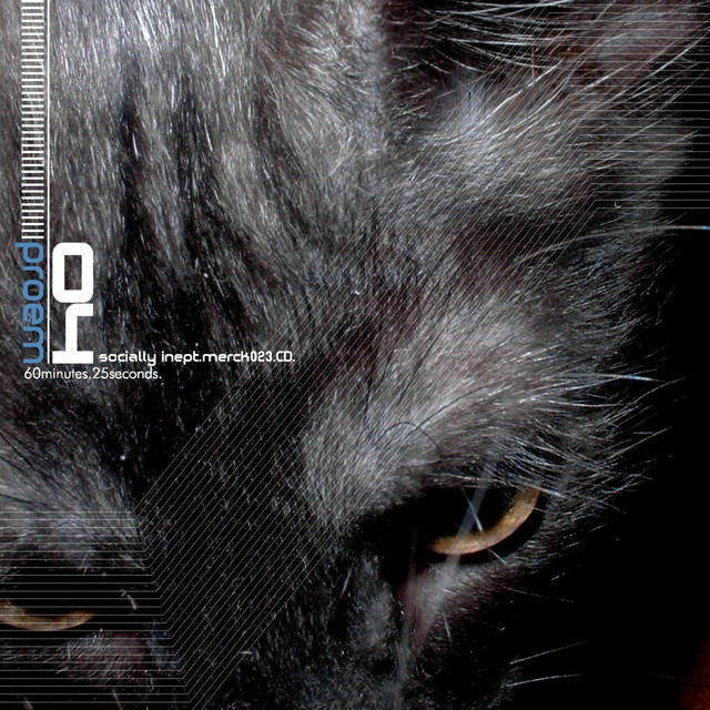 Socially Inept album cover