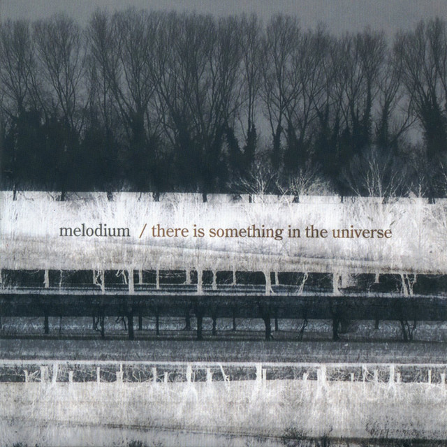 There Is Something in the Universe album cover