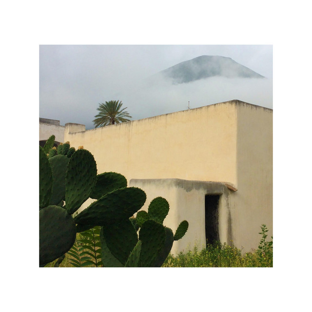 Chaff Probes album cover