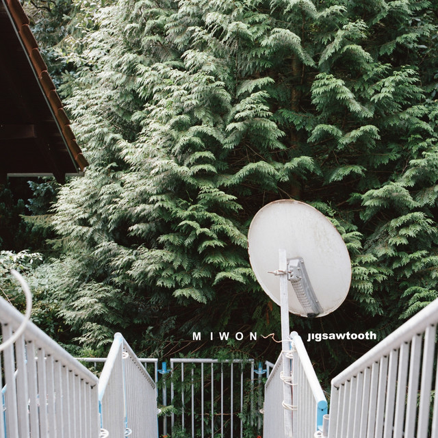 Jigsawtooth album cover
