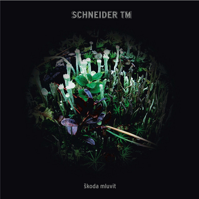 Škoda Mluvit album cover