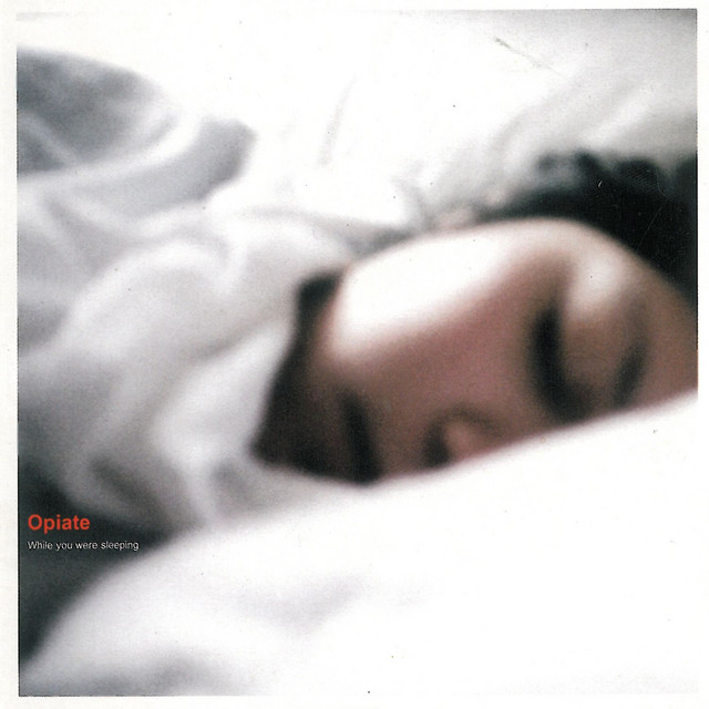 While You Were Sleeping album cover