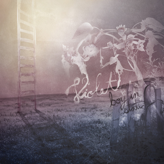 Violet album cover