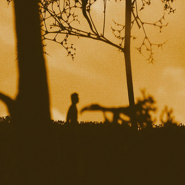 17 Pictures album cover