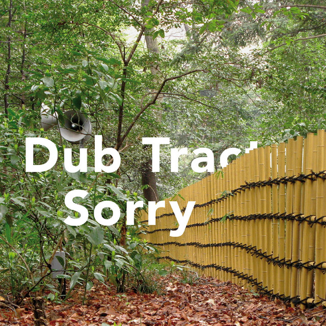 Sorry album cover