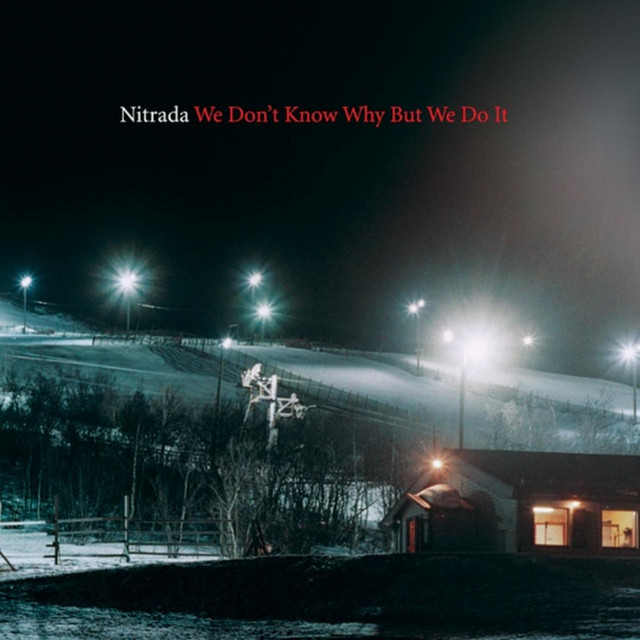 We Don't Know Why but We Do It album cover