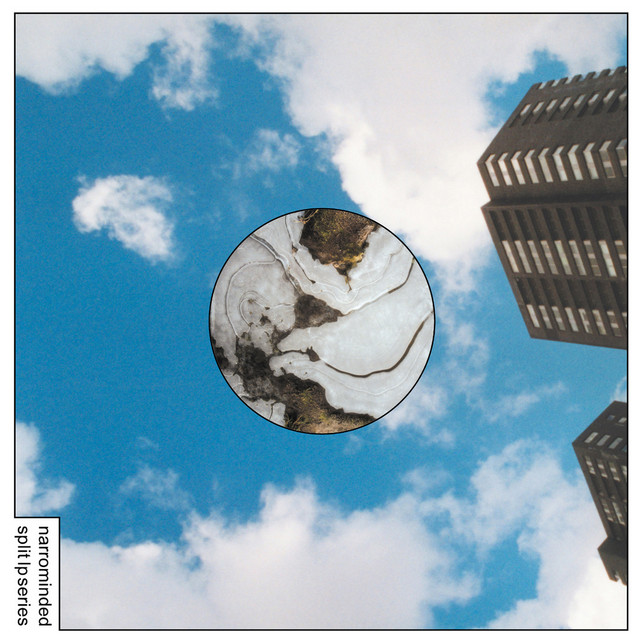 Narrominded Split LP Series #1 album cover