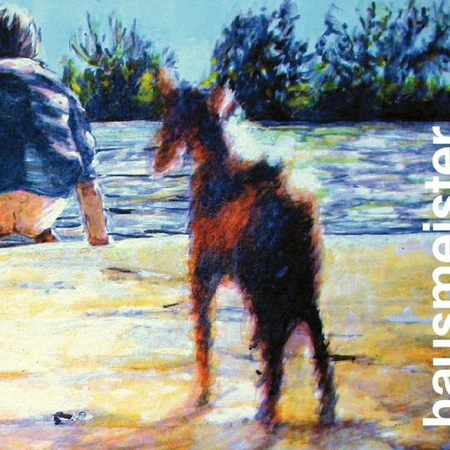 Water-Wasser album cover