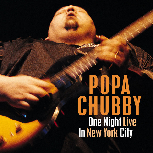One Night Live in New York City album cover