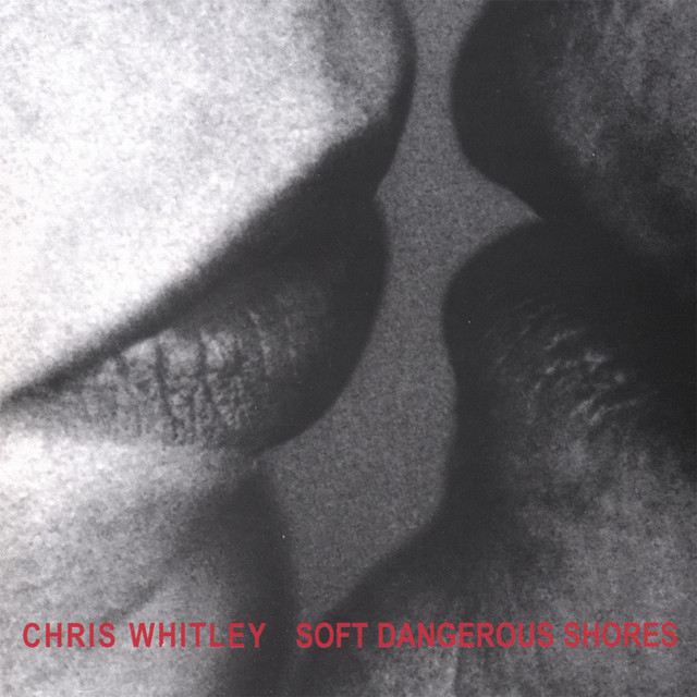 Soft Dangerous Shores album cover
