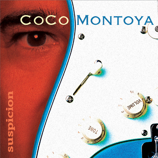 Suspicion album cover