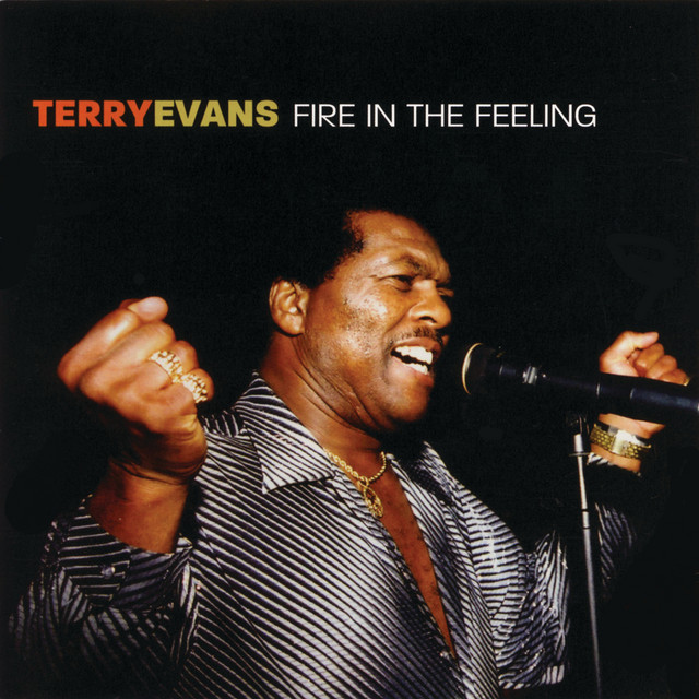 Fire In the Feeling album cover