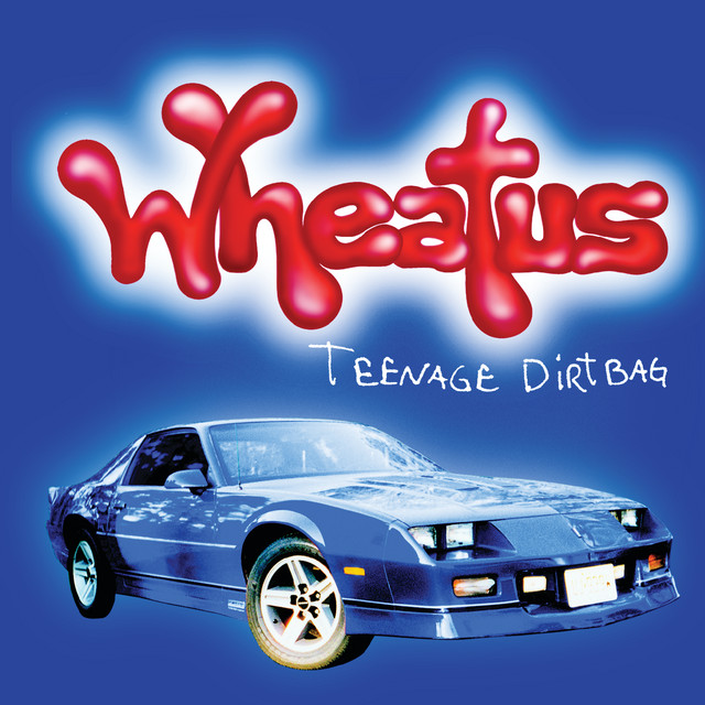 Martin D-45 Acoustic as heard on Teenage Dirtbag by Wheatus & Retrovision (2001)