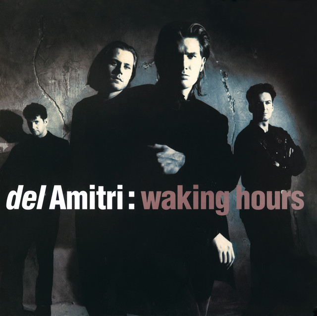 Waking Hours (Re-Presents) album cover