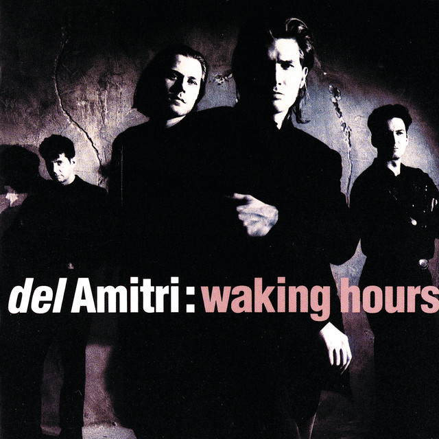 Waking Hours album cover