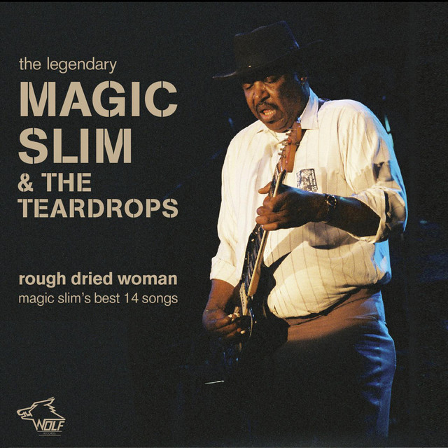 Rough Dried Woman album cover
