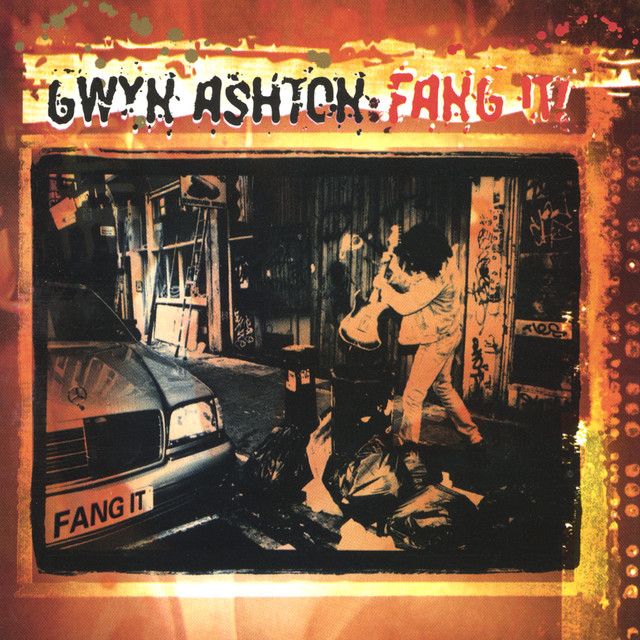 Fender Stratocaster Electric Guitar as heard on Fang It! by Gwyn Ashton (2000)