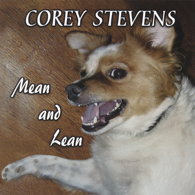 Mean and Lean album cover