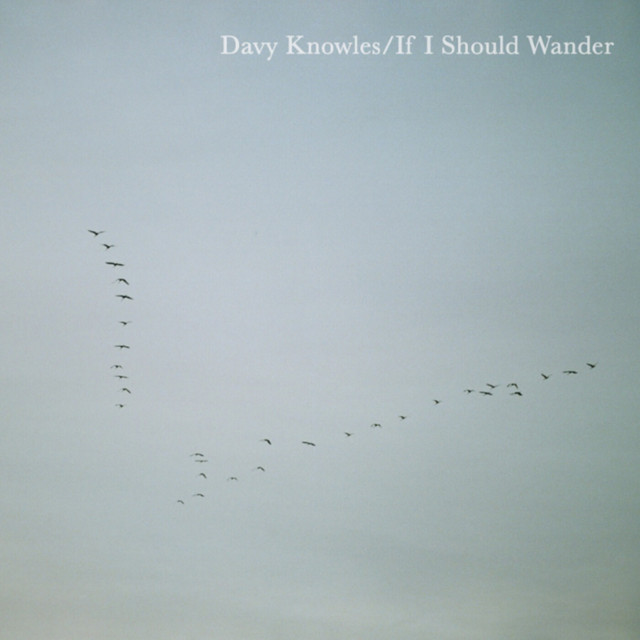 If I Should Wander album cover