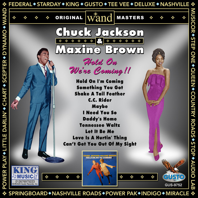 Hold On We're Coming!! (Original Wand Records Recordings) album cover