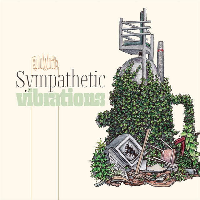 Sympathetic Vibrations album cover