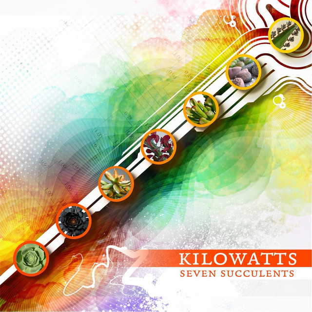 Seven Succulents album cover