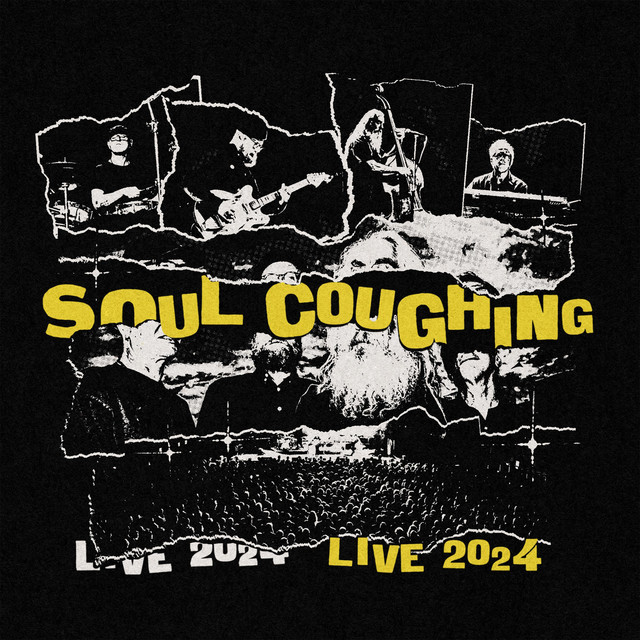 LIVE 2024 album cover