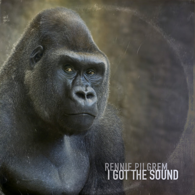 I Got The Sound album cover