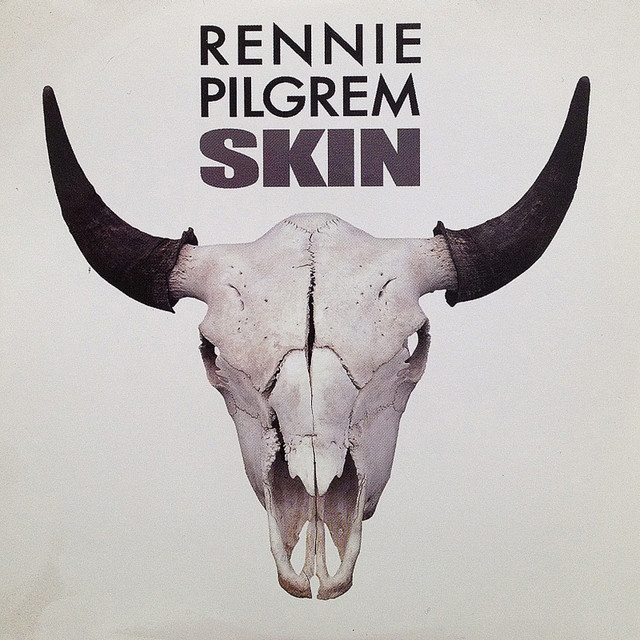 Skin album cover
