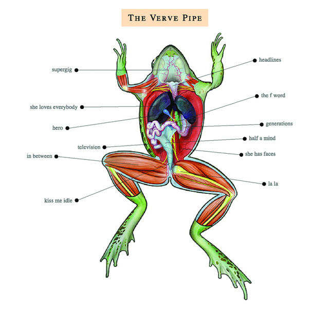 The Verve Pipe album cover
