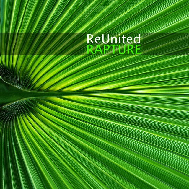 Rapture album cover