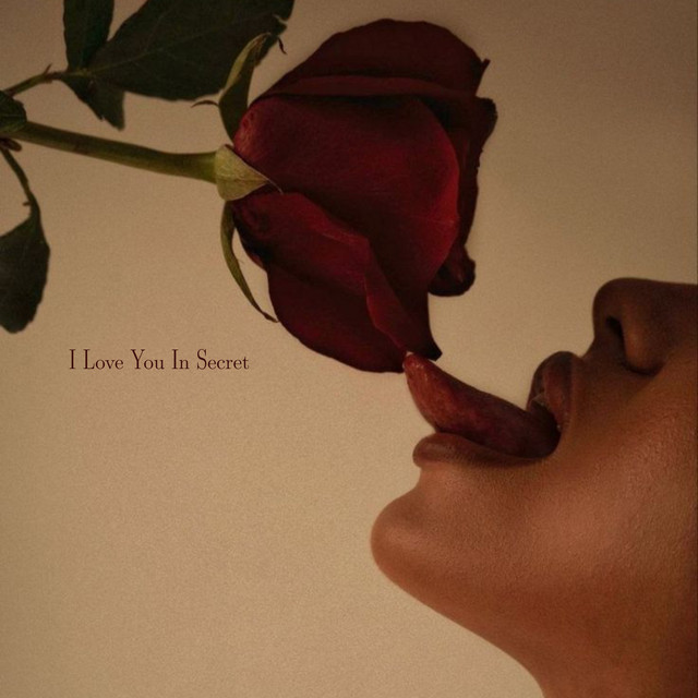 I Love You In Secret album cover
