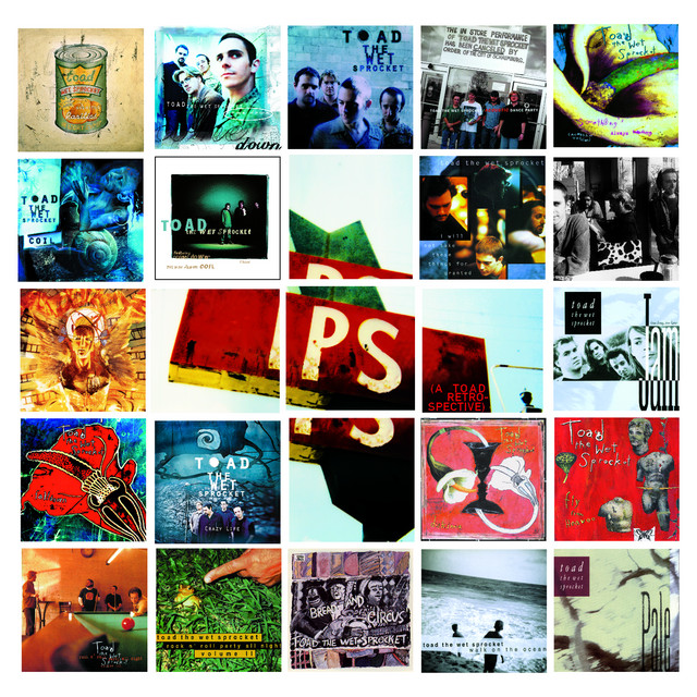P.S. (a Toad retrospective) album cover
