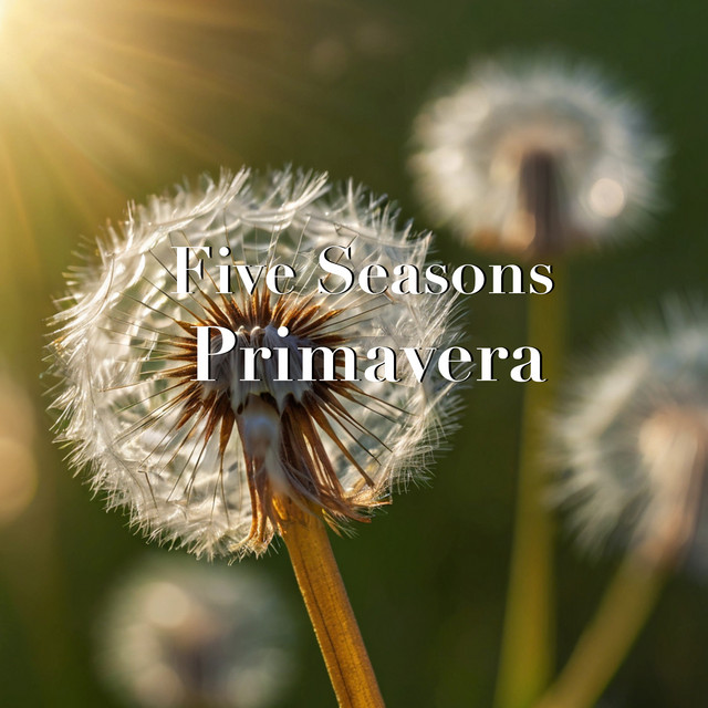 Primavera album cover
