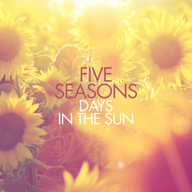 Days in the Sun album cover