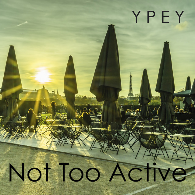Not Too Active album cover