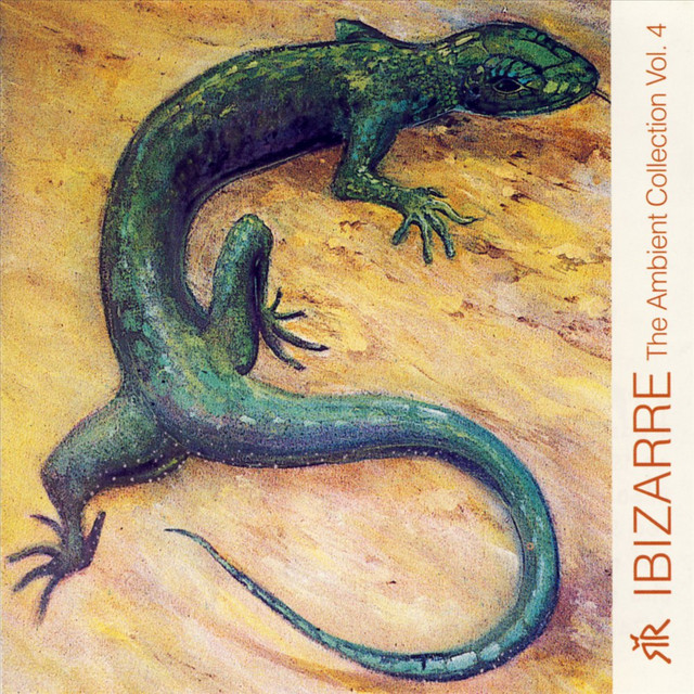 Ambient Collection Vol. 4 album cover