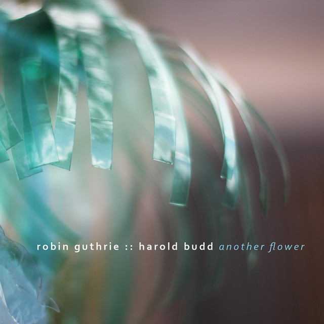 Another Flower album cover
