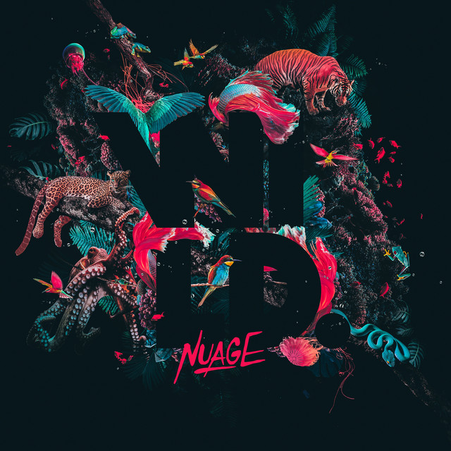 Wild album cover
