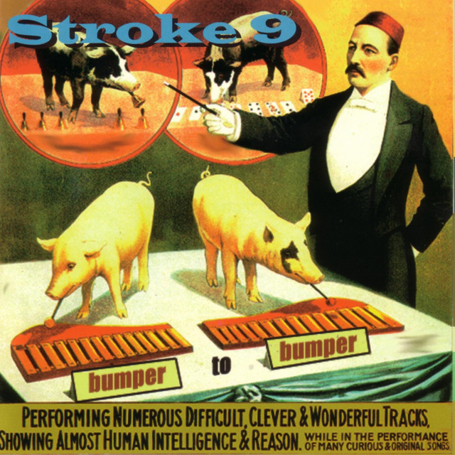 Bumper To Bumper album cover