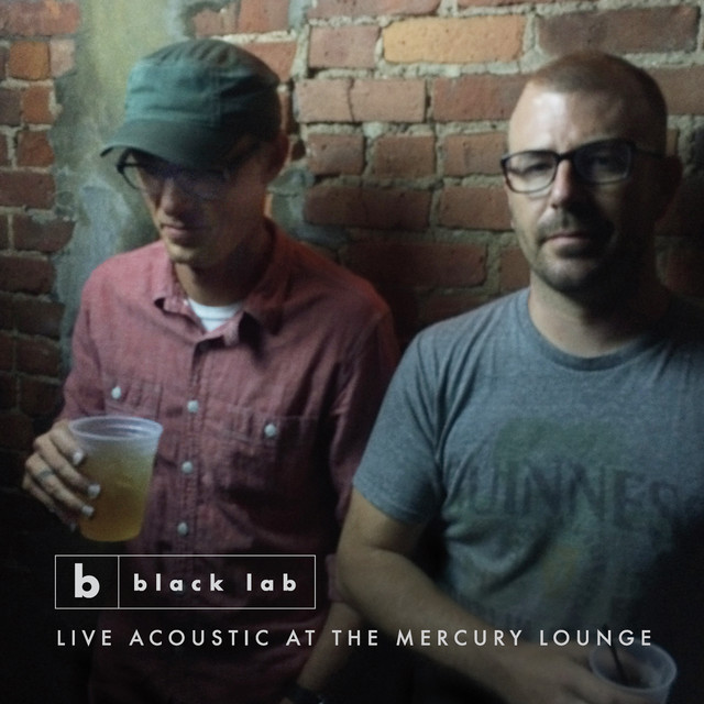 Live Acoustic at the Mercury Lounge album cover