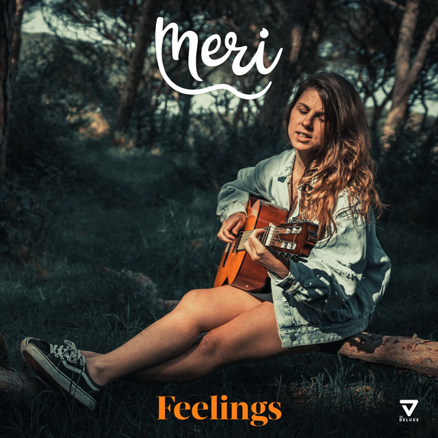 Feelings album cover