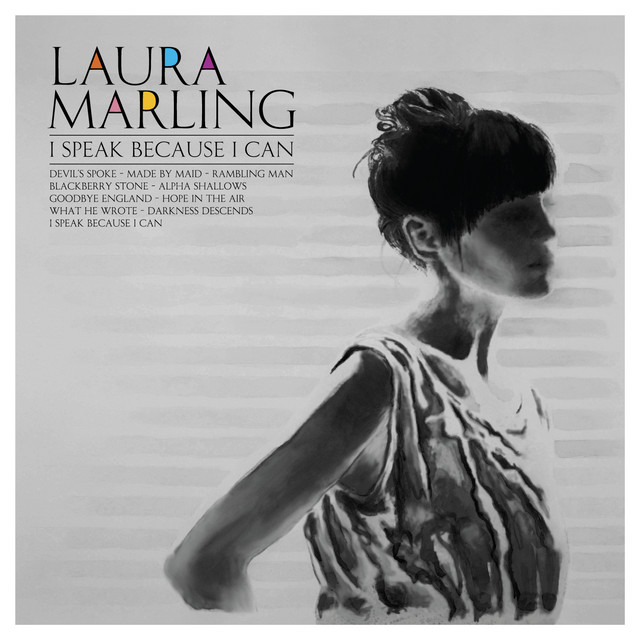 Gibson J-45 as heard on I Speak Because I Can by Laura Marling (2010)