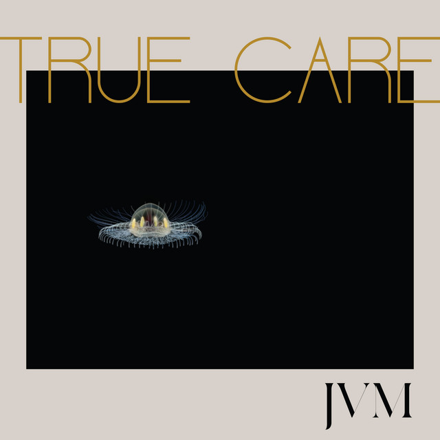 True Care album cover
